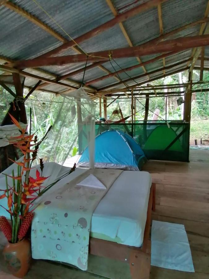 Rio Agujitas Eco Farm Hostel And Tours Drake Bay Luaran gambar