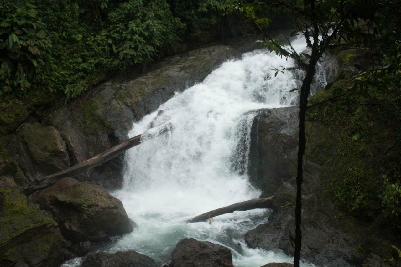 Rio Agujitas Eco Farm Hostel And Tours Drake Bay Luaran gambar