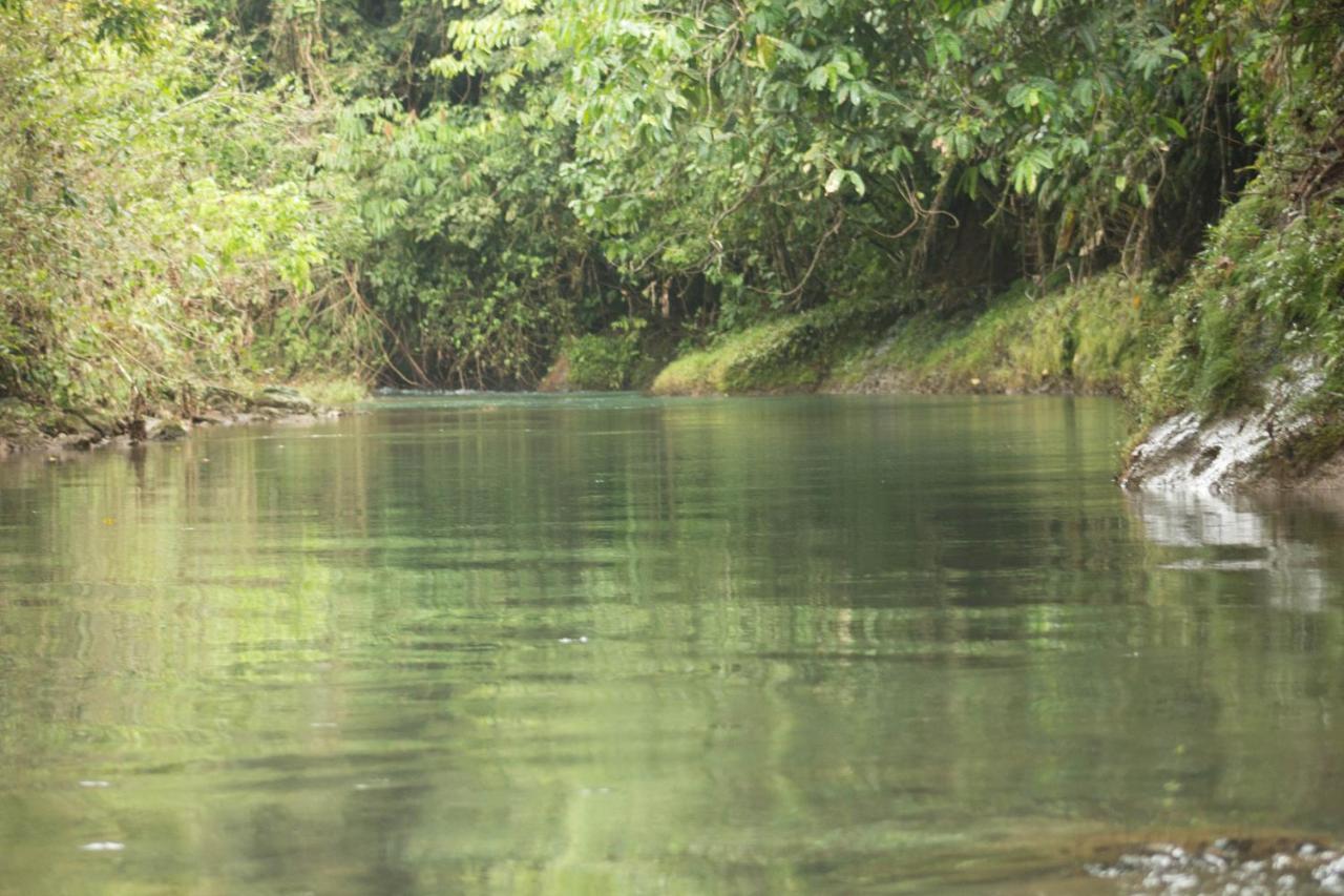 Rio Agujitas Eco Farm Hostel And Tours Drake Bay Luaran gambar